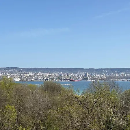 Blue Horizon アパート *